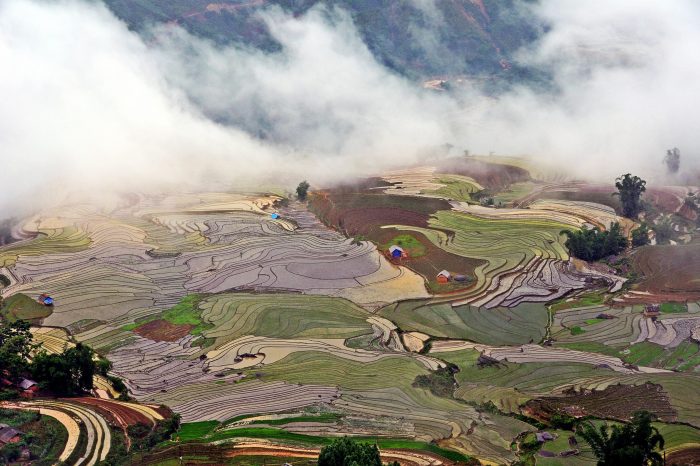 Essential Vietnam 8 days