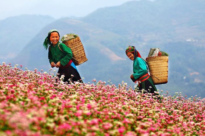 Ha Giang Discovery