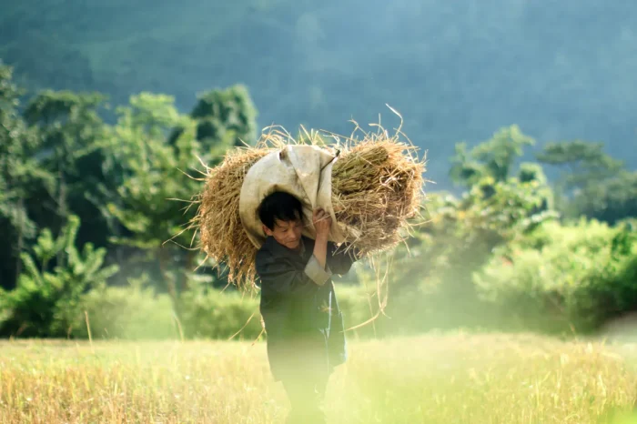 Incredible Laos – Culture, Nature & Serenity