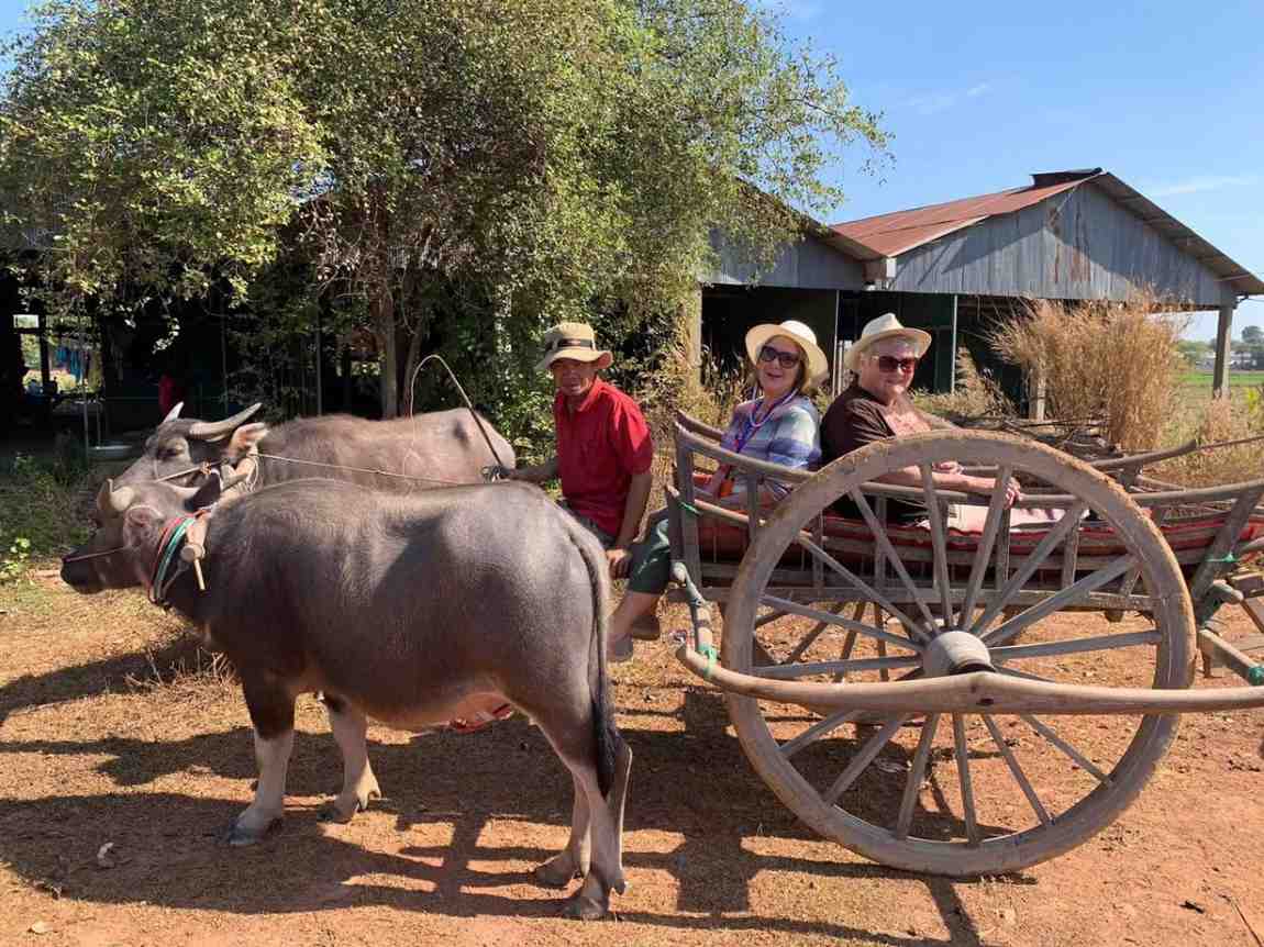 Siem Reap Buffalo Cart Ride & Village Walk