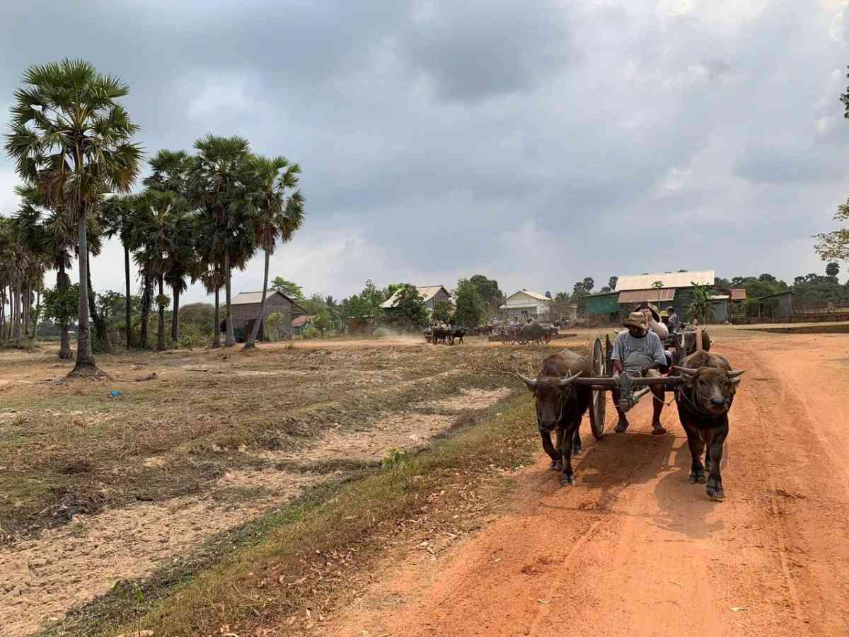 Siem Reap Buffalo Cart Ride & Village Walk
