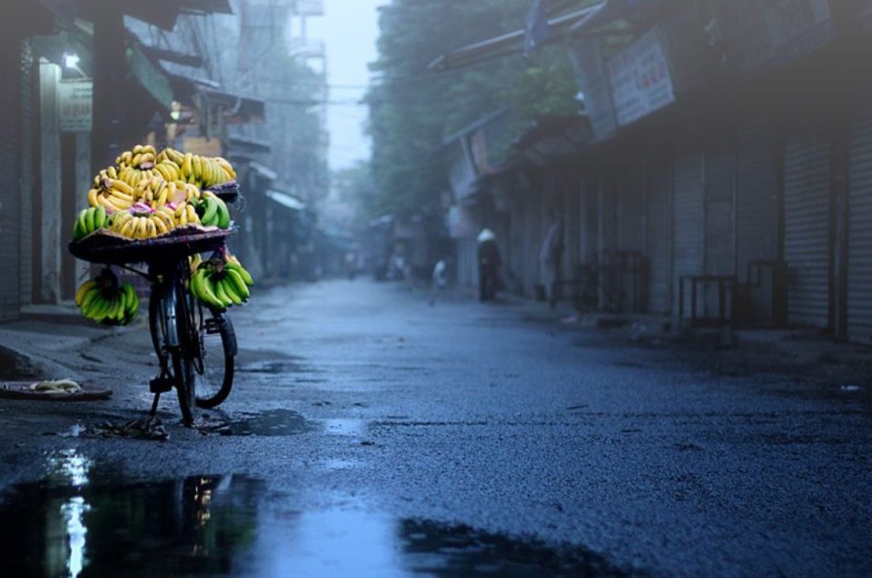 Vietnam Rainy Season 2025: Best Time, Regions & Travel Tips