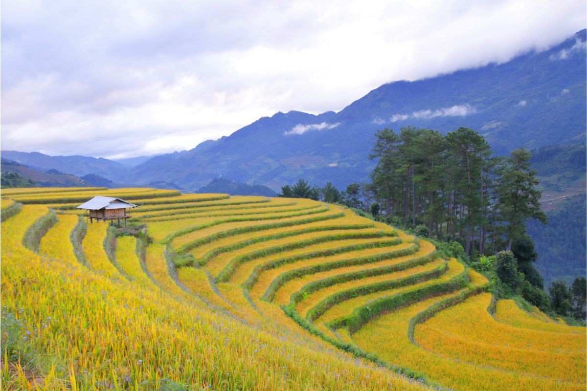 Best Time to Visit Northern Vietnam