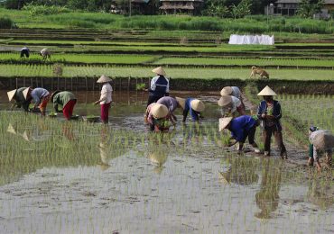 Jörg & Marcella – New Zealand